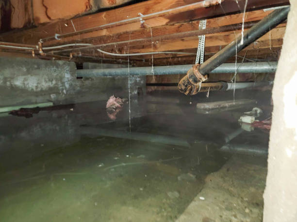 Water damage restoration mold remediation in VA