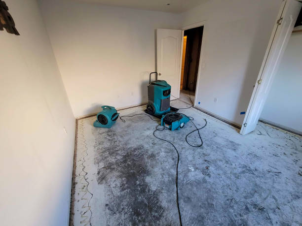 Best Professional water damage repair  in Fort Belvoir, VA
