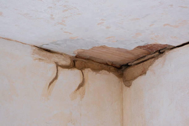 Best Fire Damage Restoration  in Fort Belvoir, VA