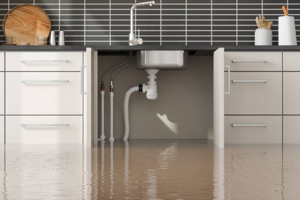 Best Local water damage restoration  in Fort Belvoir, VA